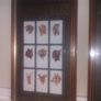 Taddy & Co. Cigarettes. Myrtle Grove .Framed Image 4