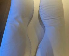 Pregnancy & nursing pillow