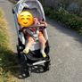 cybex travel Image 3