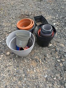 plant pots