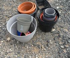 plant pots