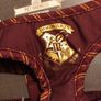Harry Potter pet harness Image 5