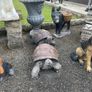 garden ornaments Image 7