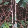 Vintage Sterling Silver necklace with Semi-Precious stones Image 6