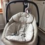 Joie 2in1 Swing/Rocker Image 3
