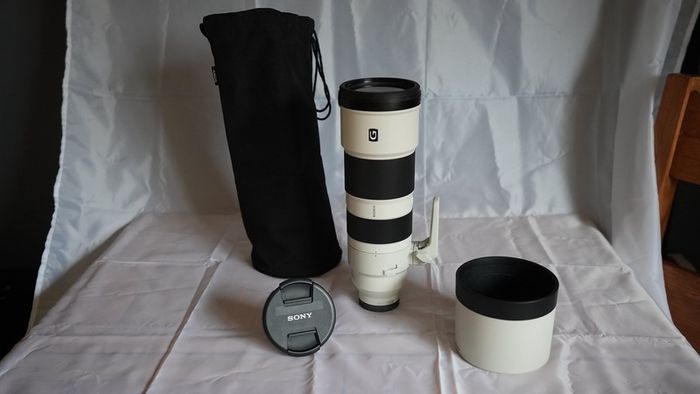 Sony FE 200-600mm f/5.6-6.3 G OSS Lens