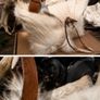 Handcrafted Goat Hide Bag Unusual Image 6