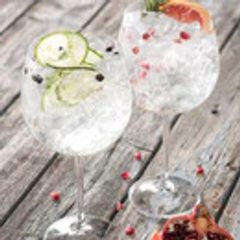 Galway Crystal Clarity Gin & Tonic Glasses Set