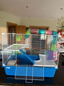 hamster cage