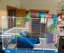hamster cage
