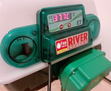 Automatic incubator