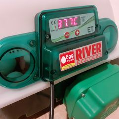 Automatic incubator