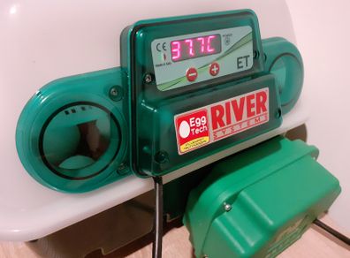 Automatic incubator