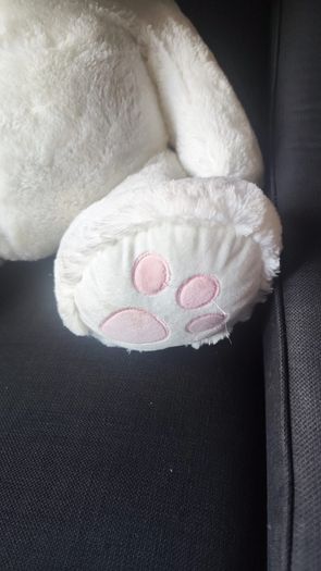 Large White Teddy Bear