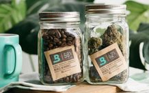 Boveda Packs