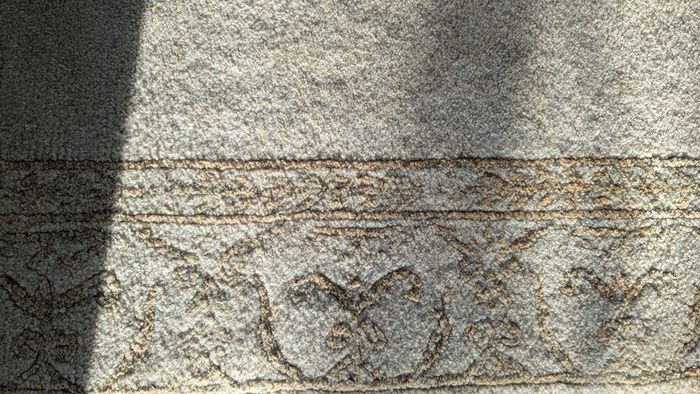 Beige patterned rug with fringe - good condition