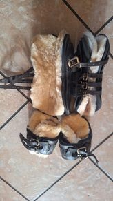 horse boots