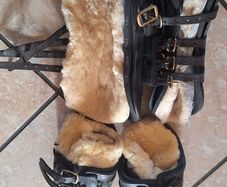 horse boots