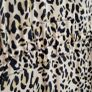 WAREHOUSE leopard print draw-string midi Sz 12 - Bnwt Rrp 55 Image 6