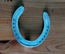 Lucky Horseshoe - Never Used