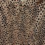 Quiz dress brand new Image 4