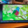 Acer 24 Full HD IPS Monitor  Excellent Condition Image 2