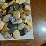 Beach pebbles tumbled and polished Image 5