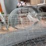 wire fencing Image 2
