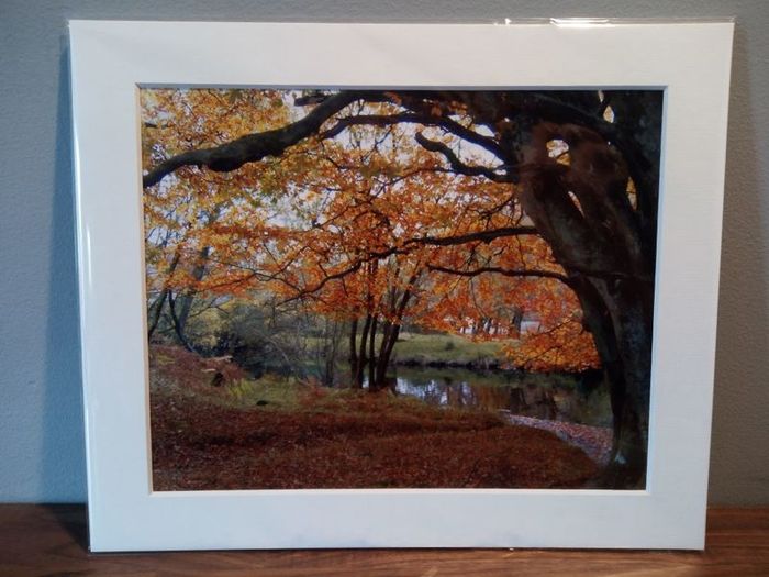 Mounted Original Photography - Ballinrush Autumn, Kerry