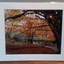Mounted Original Photography - Ballinrush Autumn, Kerry Image 3