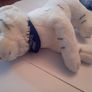 ADORABLY fluffy tiger plush! Image 3