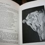 The Myths of Greece and Rome , H.A.Guerber Image 6