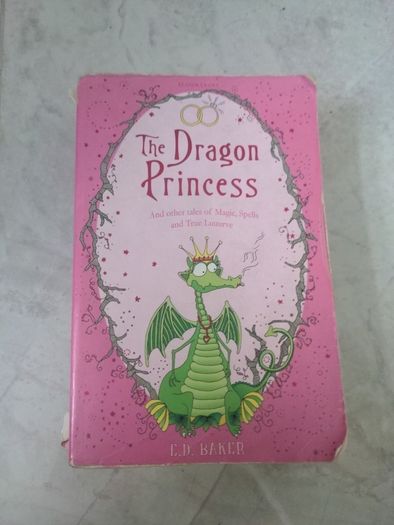 The Dragon Princess