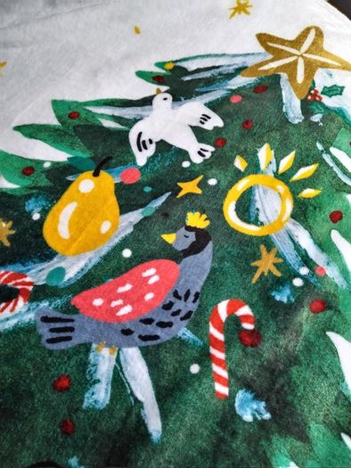 Catherine Lansfield Christmas Winter Fleece Throws