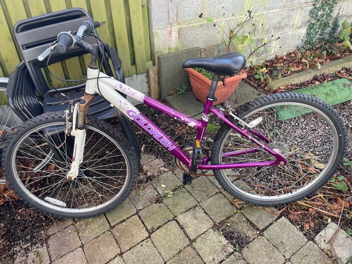 Adult bike