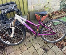 Adult bike