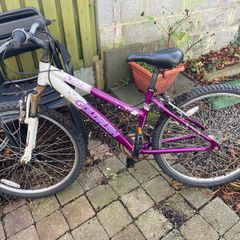 Adult bike