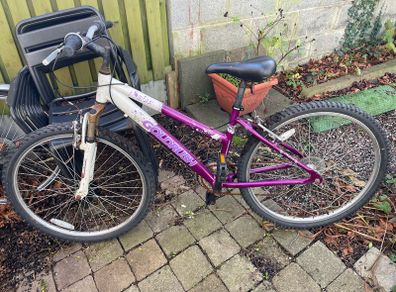 Adult bike