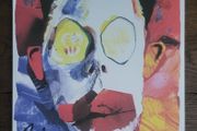 Ride - Going Blank Again (2012 US press) vinyl album
