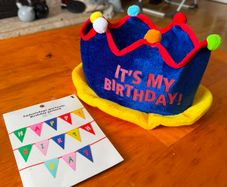 Birthday Party Bundle (Hat & Happy Birthday Banner)