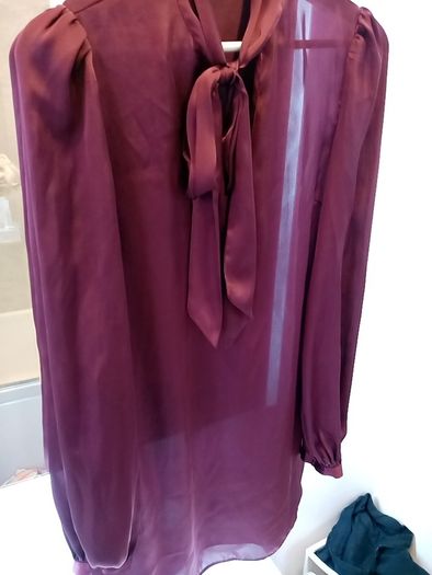 Ladies dressy top