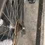 Gamma Full-Suspension Mountain Bike - 26 inch Wheels, 21-Speed Shimano Image 5