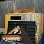 Electric Sauna Image 4
