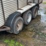 Hamilton cattle trailer Image 2