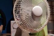 fan