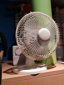 fan