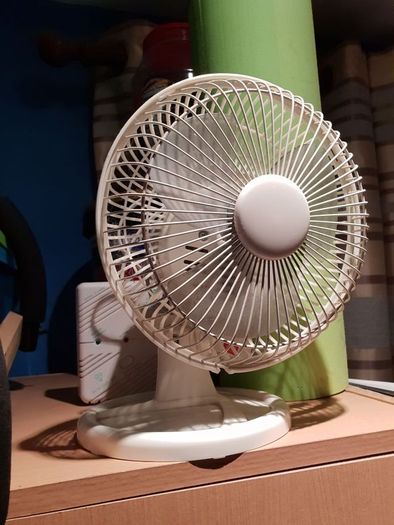 fan