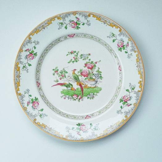Myott Son & Co  plate "The Burton" discontinued design