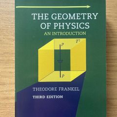 The Geometry Of Physics