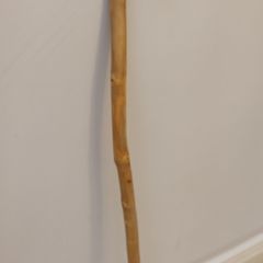 Hand Crafted Walking stick (25355)